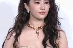 精选图片集：视觉盛宴与创意灵感