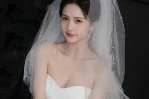 精选图片集锦：视觉盛宴一览
