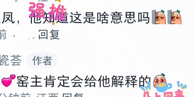 丽颖儿表情包