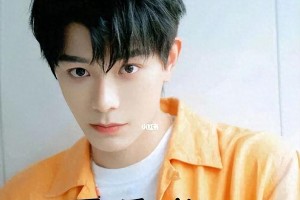 丁禹兮逆袭：从选秀落选到11月男友的励志故事