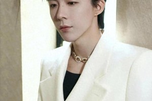 刘宇宁魏哲鸣黄景瑜等男星闪婚闪离内幕
