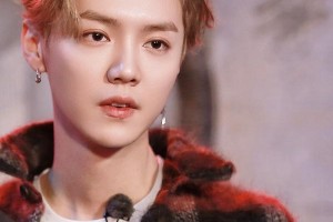 鹿晗梦女文学引热议：粉丝幻想与偶像恋爱现象解析